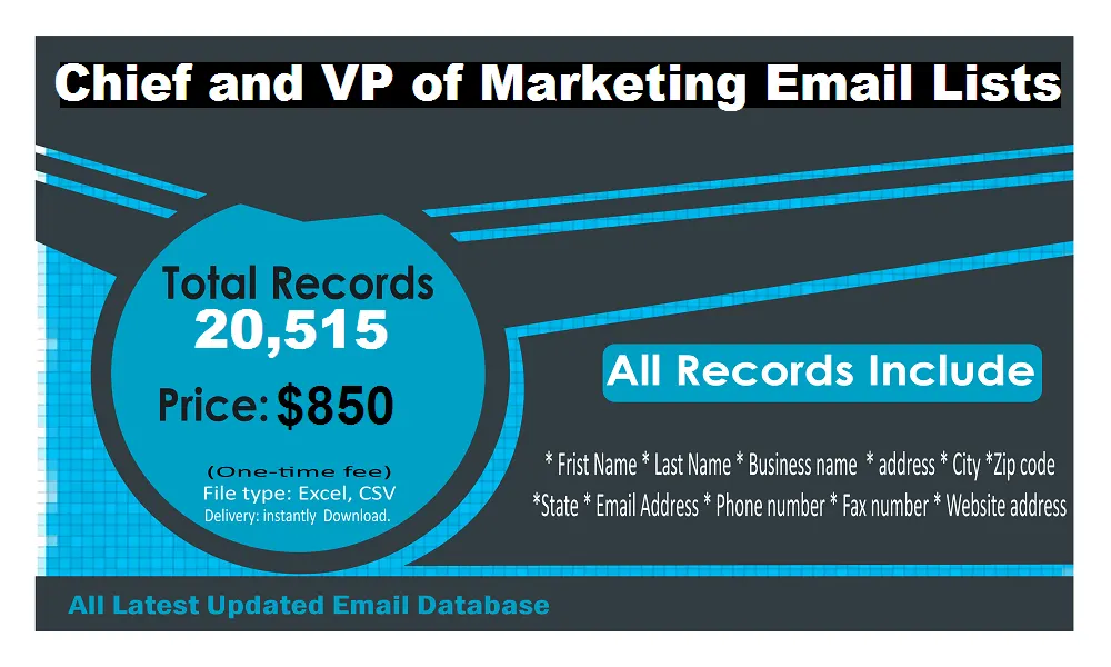 Chief VP Marketing Officer Email List