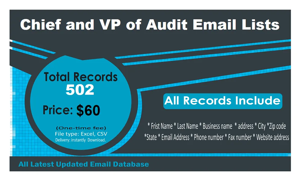 VP Audit Email List