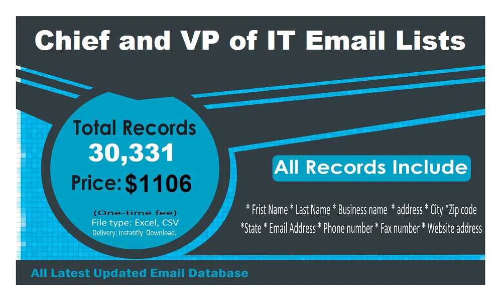 VP IT Email List